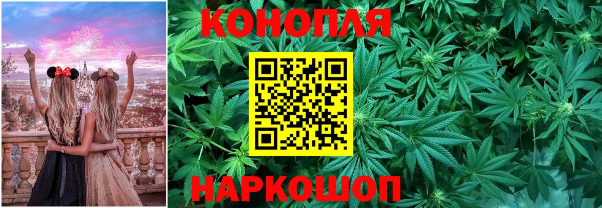 Канабис ГИДРОПОН Камышин